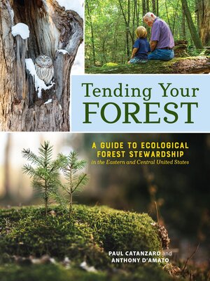cover image of Tending Your Forest
